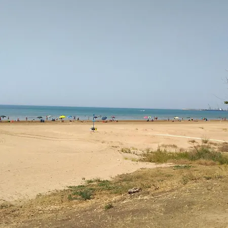 Nereidi Agave Pozzallo